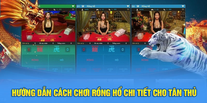 Hướng Dẫn Cách Chơi Rồng Hổ Kubet77 Chi Tiết Cho Tân Thủ