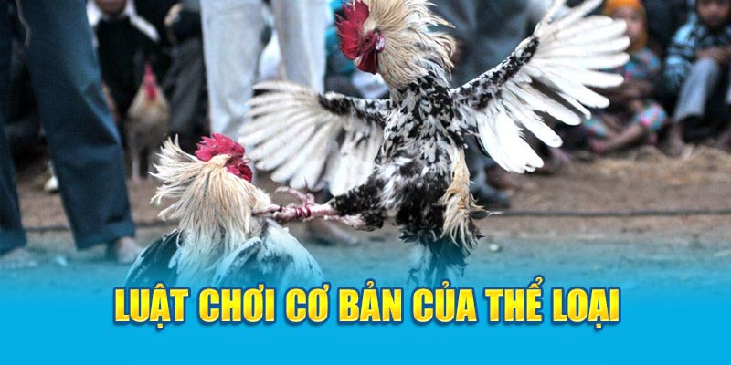 Luật chơi cơ bản của thể loại 