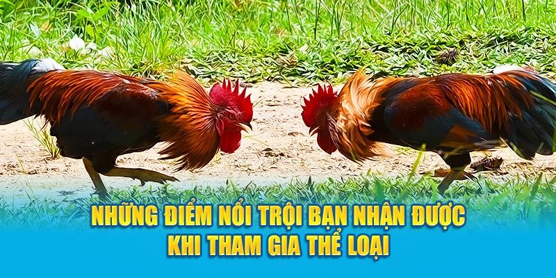 Những điểm nổi trội bạn nhận được khi tham gia thể loại 