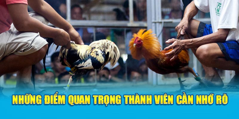 Những điểm quan trọng thành viên cần nhớ rõ 