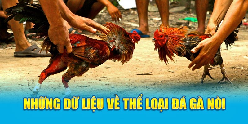 Những dữ liệu về thể loại đá gà nòi 