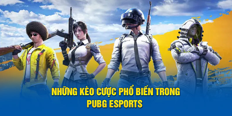 Những kèo cược phổ biến trong pubg esports 