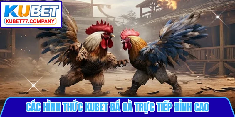Các hình thức KUBET đá gà trực tiếp đỉnh cao