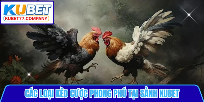 Các loại kèo cược phong phú tại sảnh KUBET