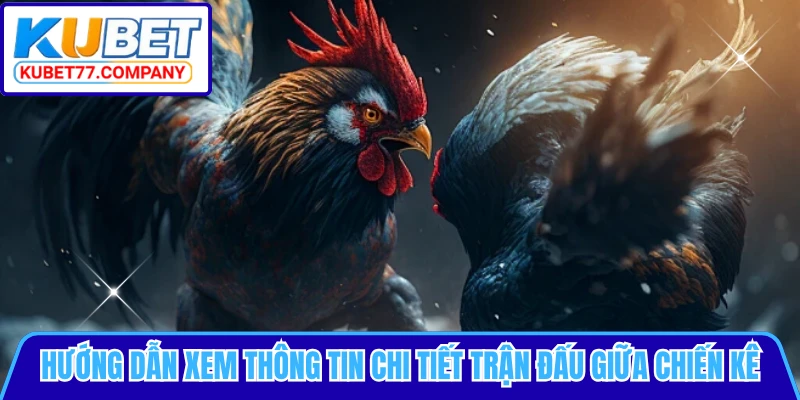 Hướng dẫn xem thông tin chi tiết trận đấu giữa chiến kê