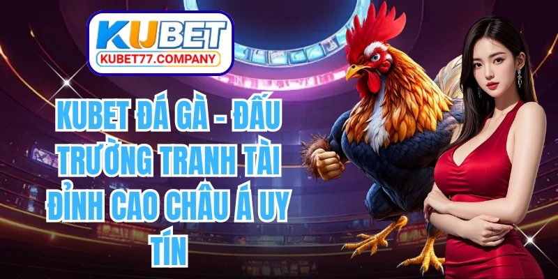 KUBET Đá Gà